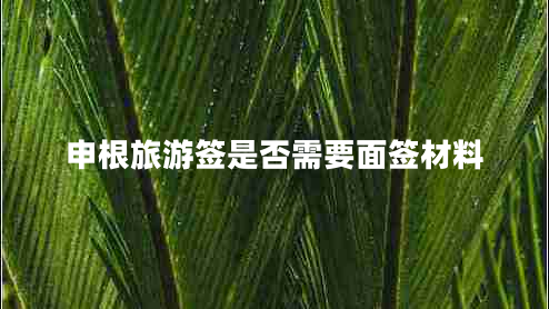 申根旅游签是否需要面签材料