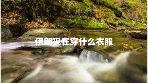 伊朗现在穿什么衣服