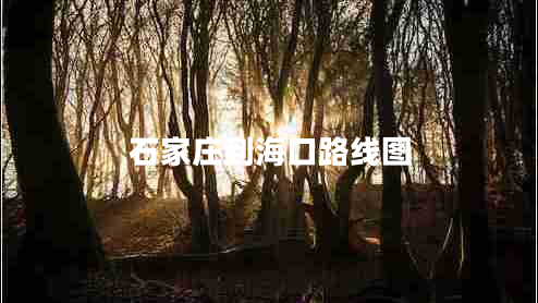 石家庄到海口路线图