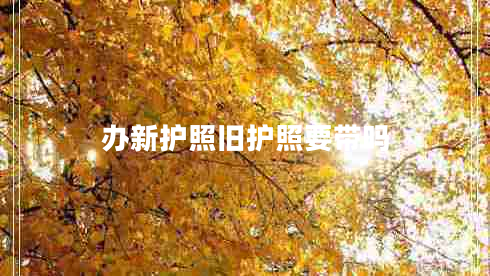 办新护照旧护照要带吗 办新护照旧护照要带吗