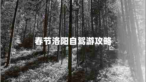春节洛阳自驾游攻略