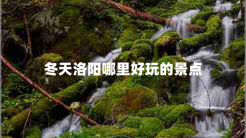 冬天洛阳哪里好玩的景点