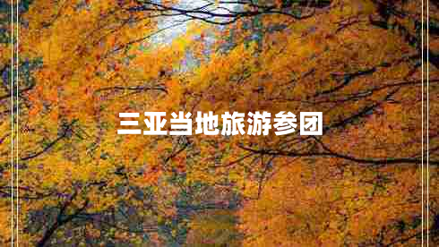三亚当地旅游参团