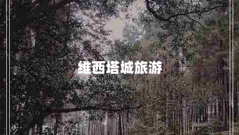 维西塔城旅游