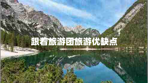 跟着旅游团旅游优缺点