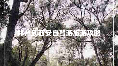 郑州到西安自驾游旅游攻略