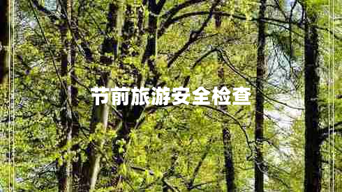 节前旅游安全检查