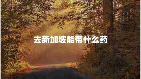 去新加坡能带什么药