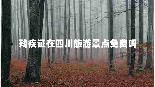 残疾证在四川旅游景点免费吗