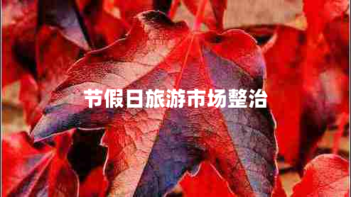 节假日旅游市场整治
