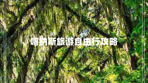 喀纳斯旅游自由行攻略