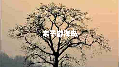 亲子游海岛
