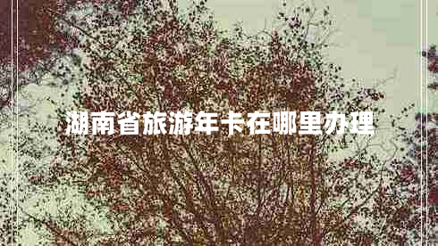 湖南省旅游年卡在哪里办理
