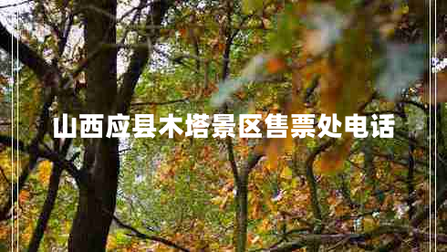 山西应县木塔景区售票处电话