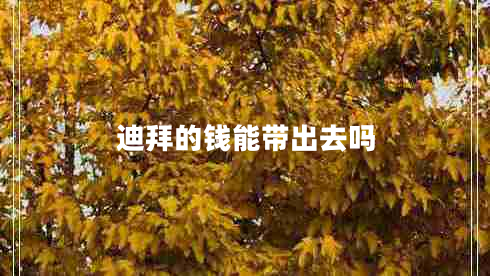迪拜的钱能带出去吗