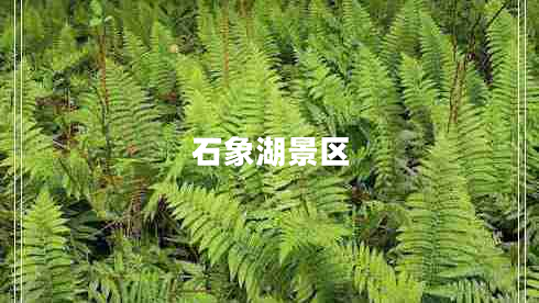 石象湖景区