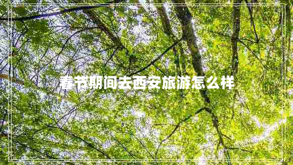 春节期间去西安旅游怎么样