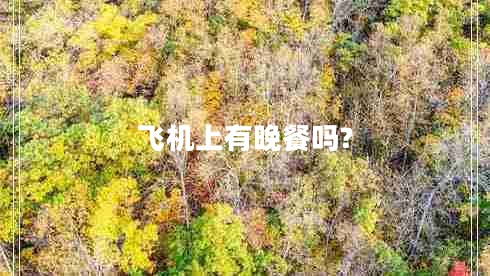 飞机上有晚餐吗?