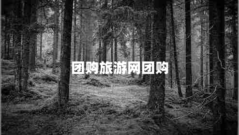 团购旅游网团购