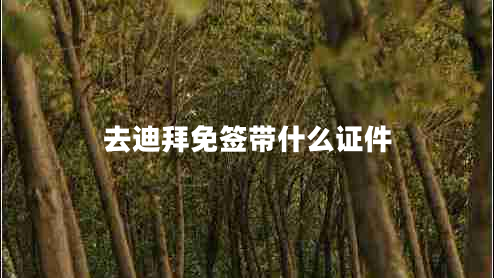 去迪拜免签带什么证件