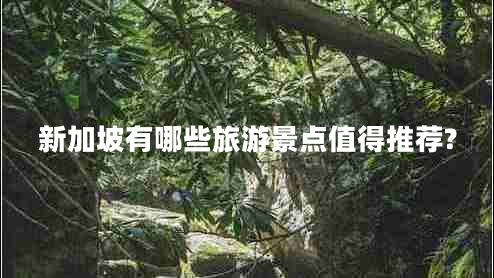 新加坡有哪些旅游景点值得推荐?