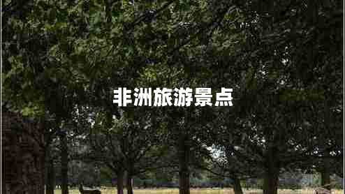 非洲旅游景点
