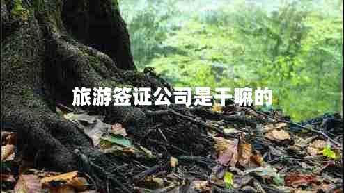 旅游签证公司是干嘛的