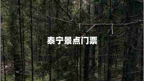 泰宁景点门票