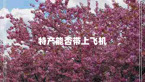 特产能否带上飞机
