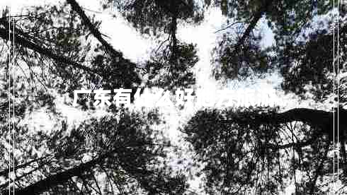 广东有什么好地方旅游