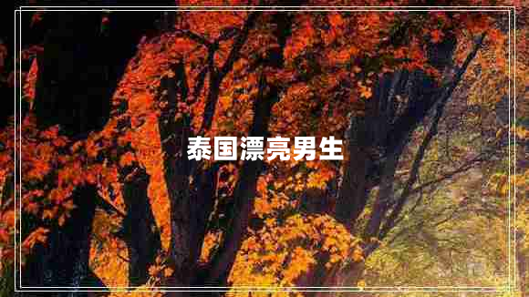 泰国漂亮男生 泰国漂亮男生