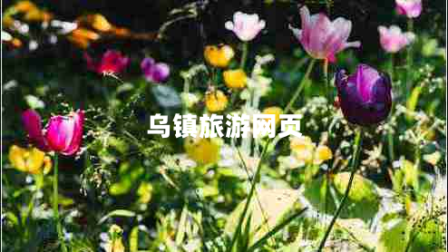 乌镇旅游网页