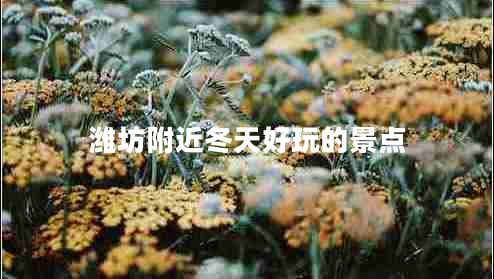 潍坊附近冬天好玩的景点