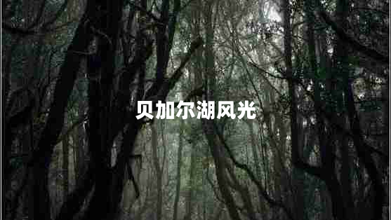 贝加尔湖风光