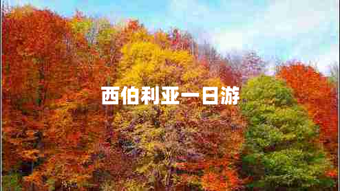 西伯利亚一日游