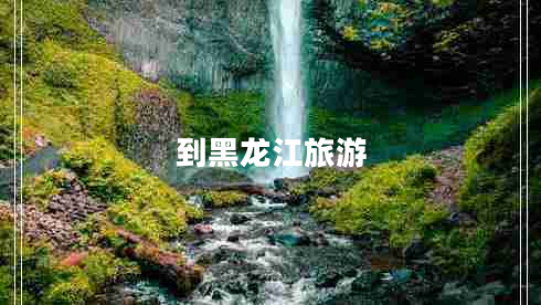 到黑龙江旅游