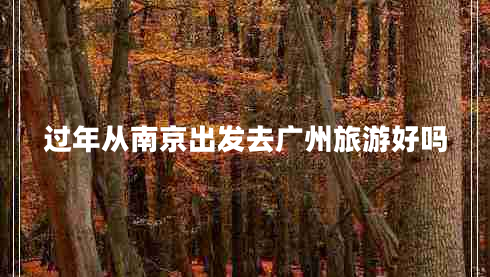 过年从南京出发去广州旅游好吗