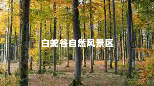 白蛇谷自然风景区