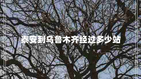 泰安到乌鲁木齐经过多少站
