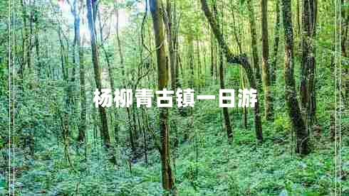杨柳青古镇一日游