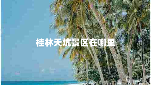 桂林天坑景区在哪里