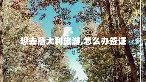想去意大利旅游,怎么办签证