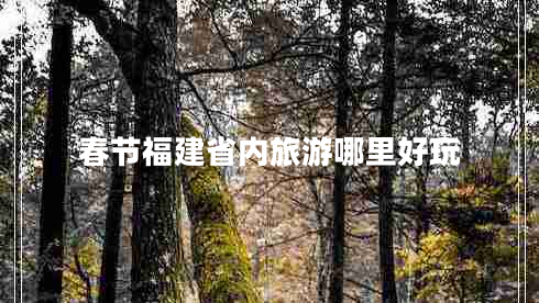 春节福建省内旅游哪里好玩