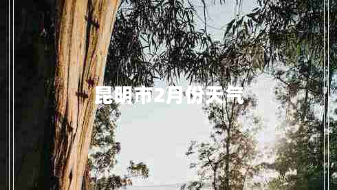 昆明市2月份天气