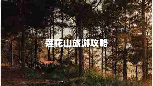 莲花山旅游攻略