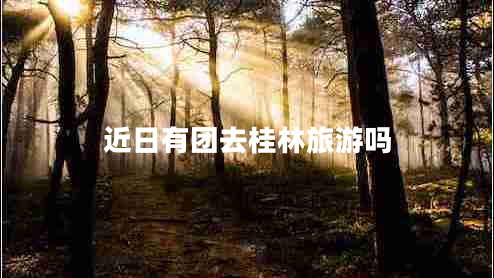 近日有团去桂林旅游吗