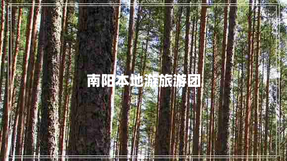南阳本地游旅游团