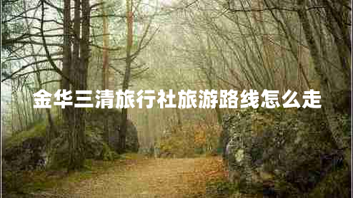 金华三清旅行社旅游路线怎么走