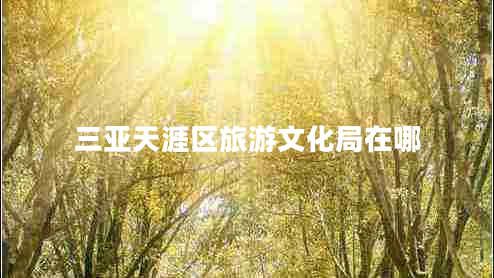 三亚天涯区旅游文化局在哪