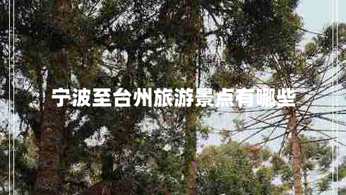 宁波至台州旅游景点有哪些